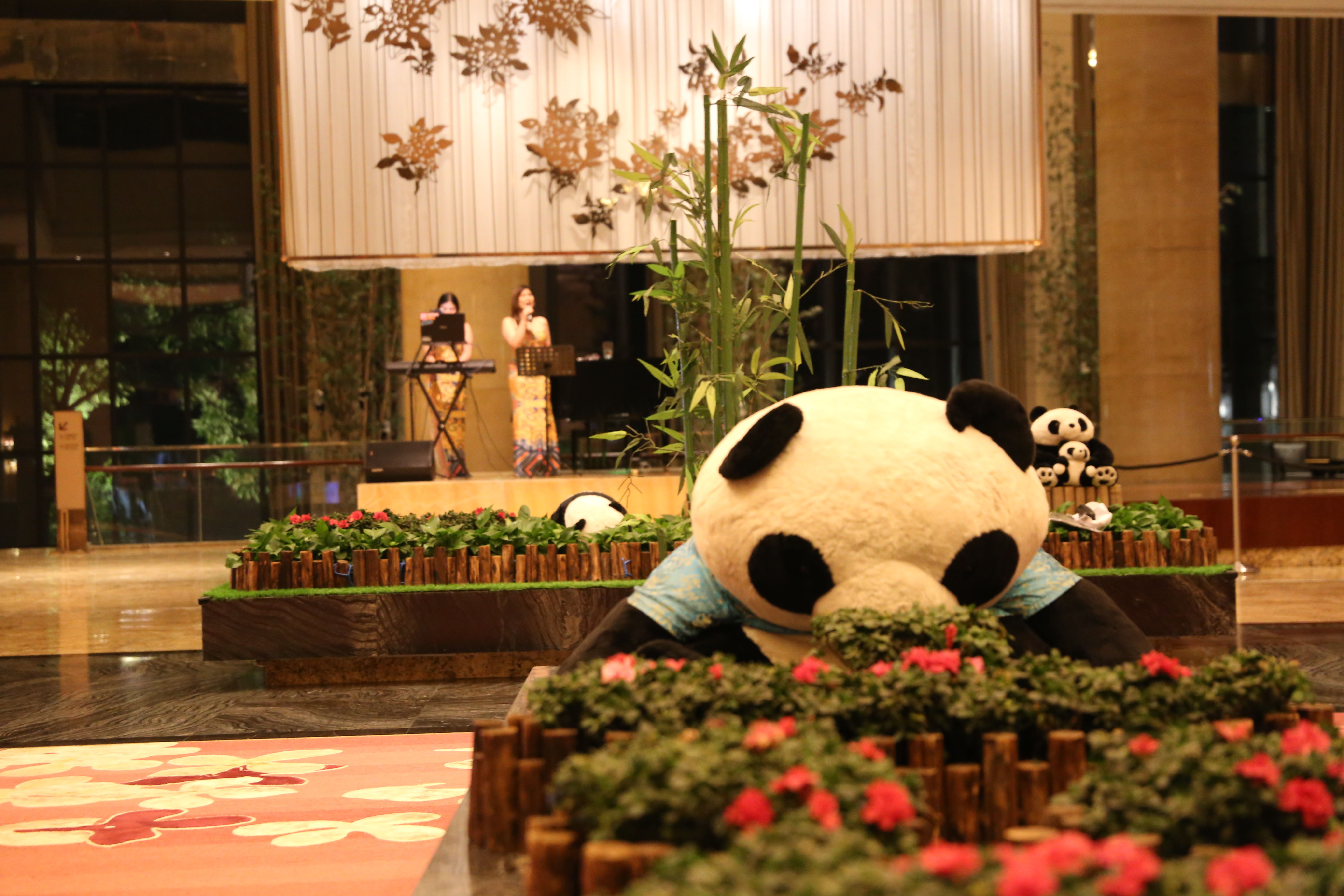 成都十二时辰，记旅行家红人天府之国”蓉城“游记