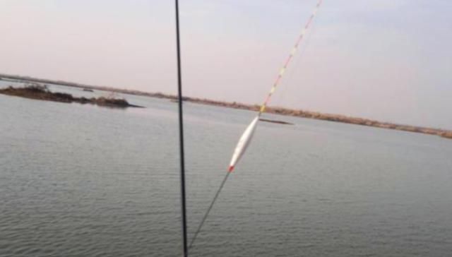  大鲫鱼@天冷了，“对付”板鲫要多用这调钓方式，空竿次数少，钓