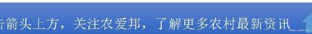 农民朋友请注意农村又增一项新补贴，补贴金额比低保还高！