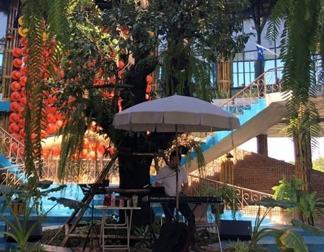 泰国这一“奇葩”餐厅，挂在树上似鸟巢，服务员还要坐索道