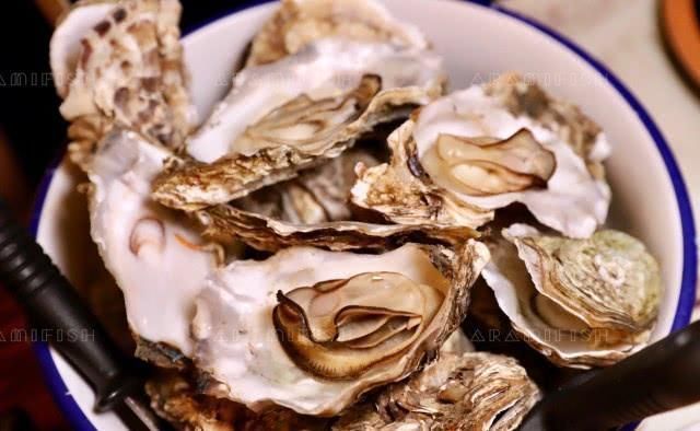 『哪家』是餐吧又是酒吧前埔烧烤哪家强285值得来一尝