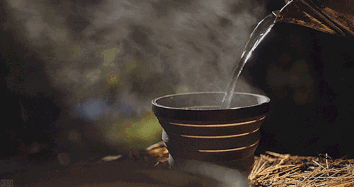 吃哪补哪？虚不受补？是时候揭穿这些养生谣言了