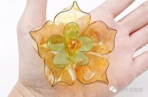 能力■塑料瓶的园艺小创意,考验动手能力的时候到了