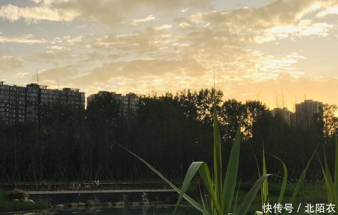 乱逛 | 沙河源公园,北门的又一个新新公园