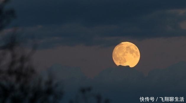  #要对仗#格律诗的对仗有哪些基本要求？