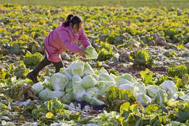 定了，下个月起，农村扶贫政策新变化，这几类农民要注意了