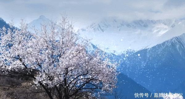 这部纪录片央视发力了,每一帧都可以当壁纸,BBC也无法超越