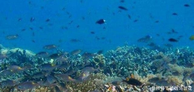 中国最独特的群岛:禁止外国人进入,曾被日本越南侵略