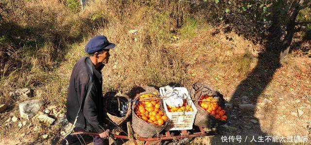 60岁以上的农村老人，交公粮几十年，他们的养老福利来了