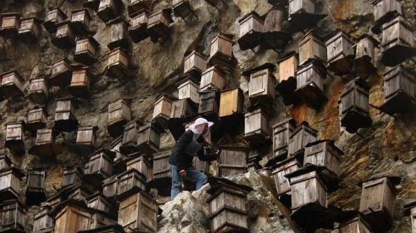  「参考」创业：农村能做什么？八大项目供您参考