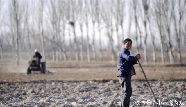 2019年农村两件事已被禁止，农民可别再犯了，否则可能被重罚