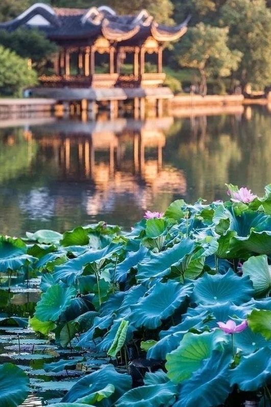 中国有一趟专为吃货量身定做的高铁？说不定你坐过，但错过美食