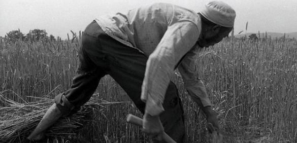 漫谈：农村田间地头消失的特殊职业“麦客”，成为历史舞台中记忆