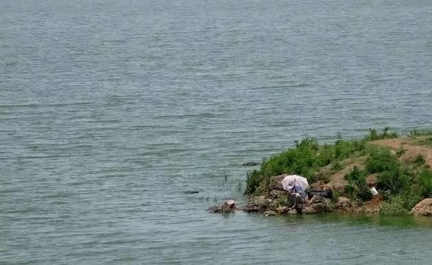  「钓友」钓到大鱼总是跑?老钓友:用这7个字遛鱼,大鱼乖乖上岸