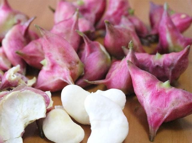 31日美食热点回顾：网红吃播为什么都吃不胖，密子君这次说漏嘴了