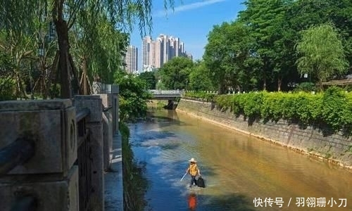  公共视频@鼓楼打造“一巷一长”福州样本 精细化管理文明城市