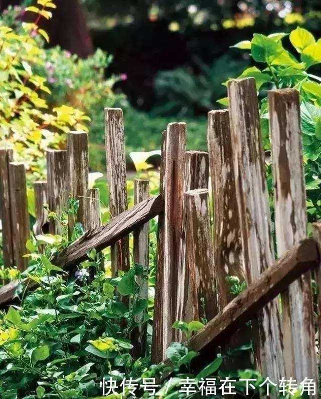 「快乐」篱笆小院住在乡村的快乐，你想体验吗！