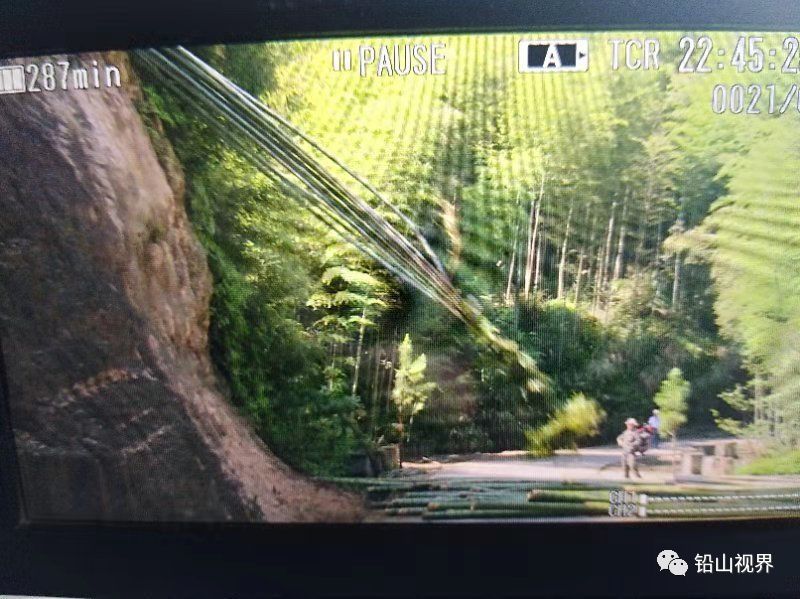 路上“飞”毛竹，人车靠两边