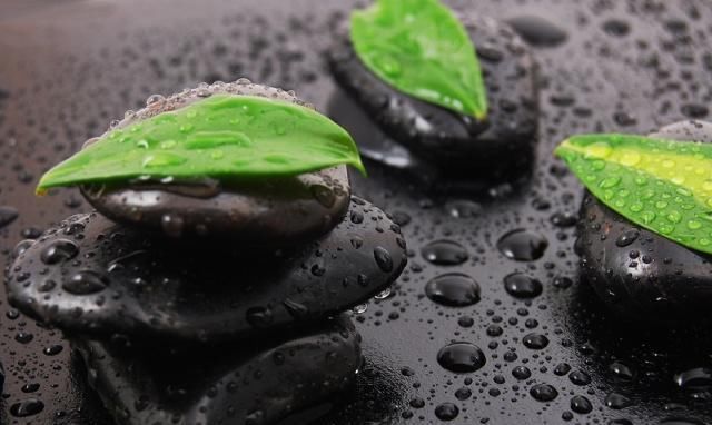  「家里」有空气“洁癖”的专家，家里都养这几盆植物