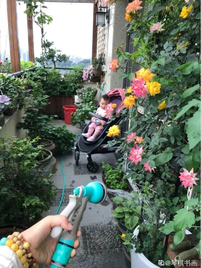  「溶液里浸泡」1粒小药片，碾碎丢水里，花像吃了兴奋剂疯长！