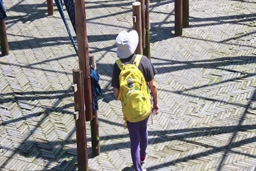 这些都是民间工艺精品，喜欢旅游而不来一趟乌镇，你会留下遗憾的