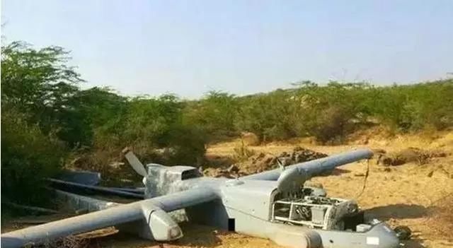  星期@一个星期以来，印度说没有4000亿只蝗虫，那是怎么回事呢？