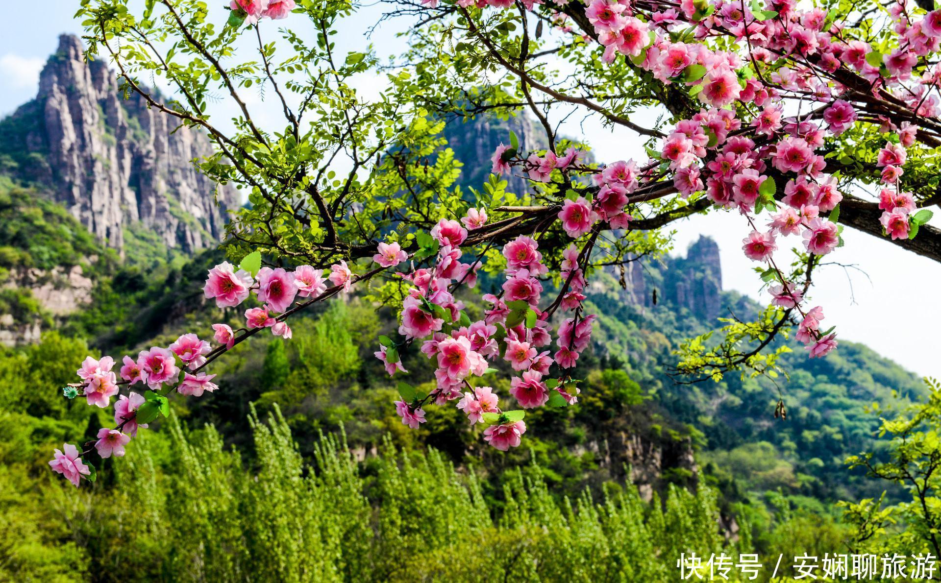 河南喜提546.5亿高铁，新乡或将成为最大受益城市