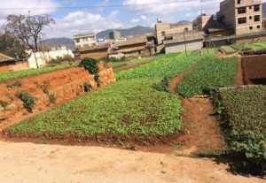  「迁回」迁出的户口还能迁回农村吗？专家：这些要求你满足了吗