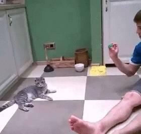搞笑■搞笑GIF:想不想和你最爱的人一起这样玩!哈哈!