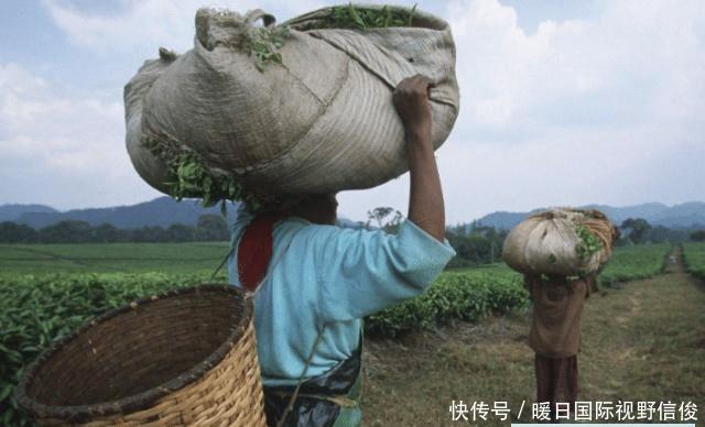 在我国很常见的东西,到了巴基斯坦摇身一变成了“奢侈品”