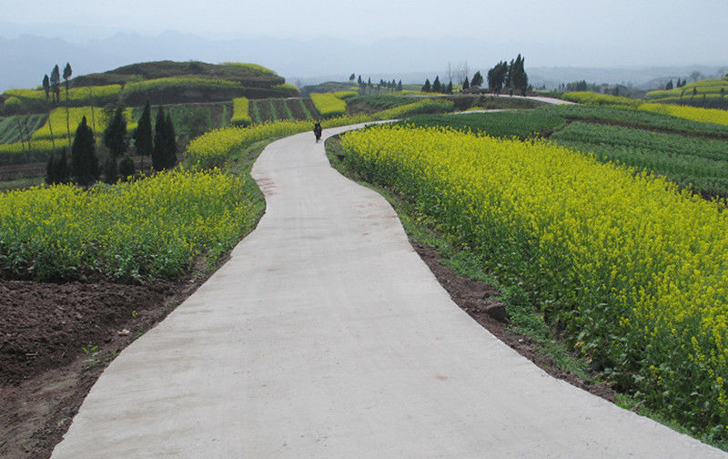  【采用】农村普遍采用“宽3.5米”的水泥路，也有更窄的。 这锅