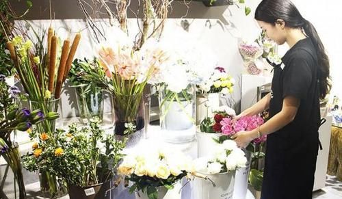 养护的时■花店小姐姐说，这3种花卉盆栽，不娇气好看又好养，该信吗