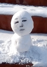 长春天气大反转！明三九，但是天儿竟然一言不合就升温