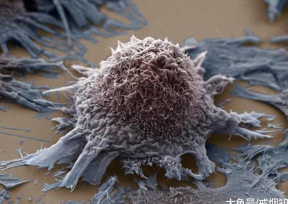 吸烟被“妖魔化”? 为什么很多百岁老人也吸烟? 公布真相!