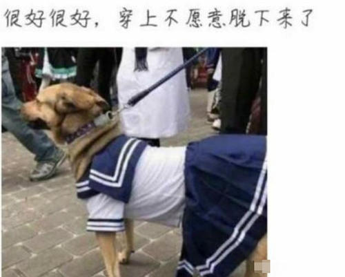 最尿性的买家秀:图3黑丝袜抢镜,最后一个笑晕在厨房!