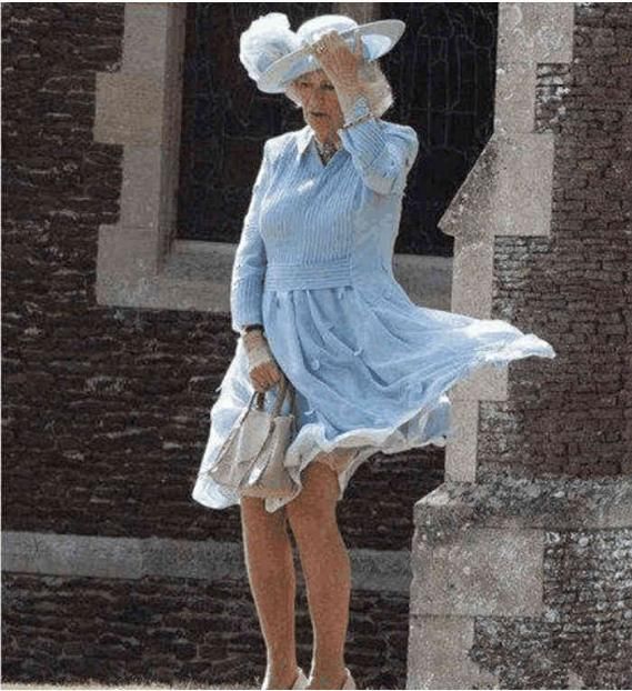 当王妃遇上刮风：凯特王妃镇静，戴安娜王妃优雅，卡米拉让人尴尬