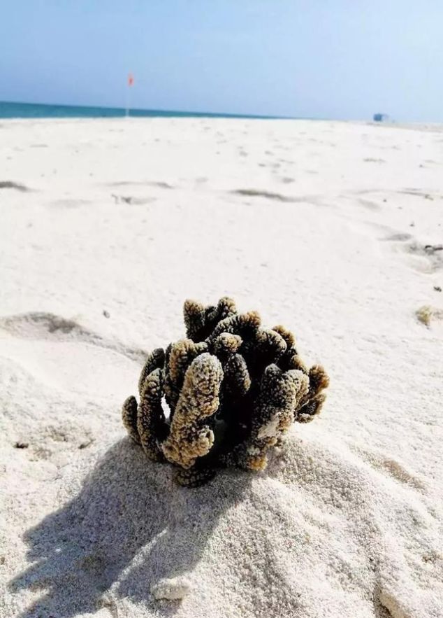 西沙，只准中国人上的海岛，只有0.01%的人去过