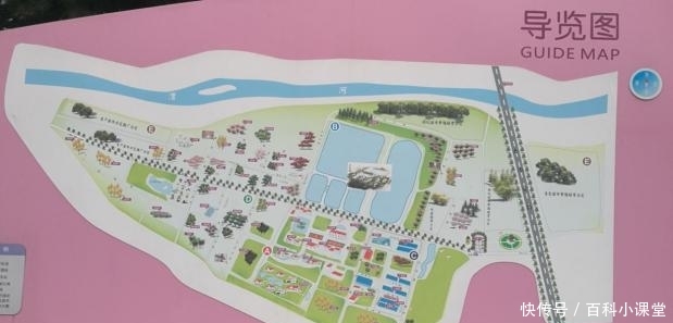  『太白山出口』西部兰花生态园“玫瑰花”开了！涉及类型120多种