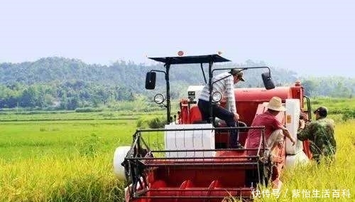  「条件」下半年，农民可领4项惠农补助，养猪在其中，符合条件的