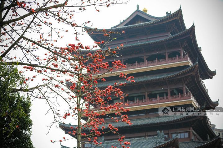 【2018年终盘点】小美景大广西,领略2018年广西醉美瞬间