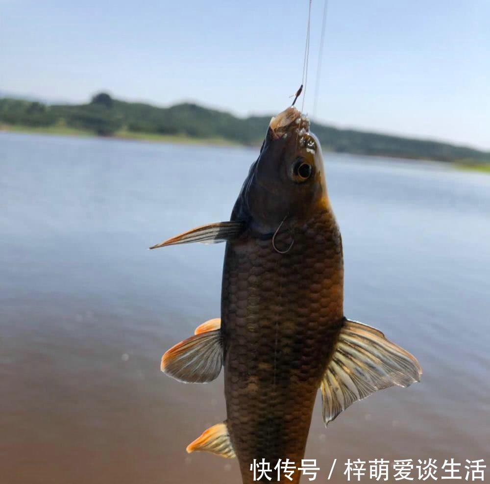  钓友■活了近10年！长江钓起巨型船钉子，钓友从来没见过这么大的