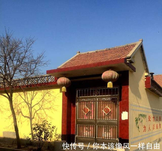 农民地里种它，亩产八千斤，一斤价格2元以上，亩收入万元