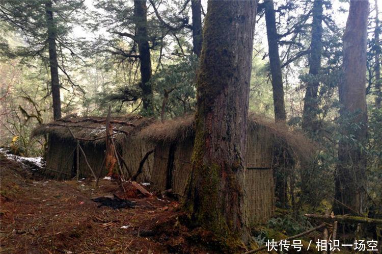 西藏林芝有个民族,住在深山峡谷中,至今还保留着这个古老习俗