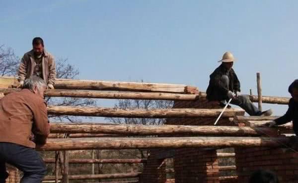 未来5年，这3个小生意会成为“香饽饽”，有本钱的农民可以考虑