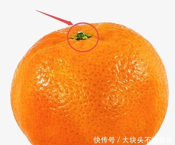  「进来」教你如何浪费10分钟，点进来看看这些有趣但无用的冷知识就成功了