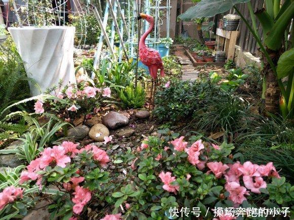  「李小姐还」她将荒芜的后院，改造成最美花园，完工一年后，让人惊艳