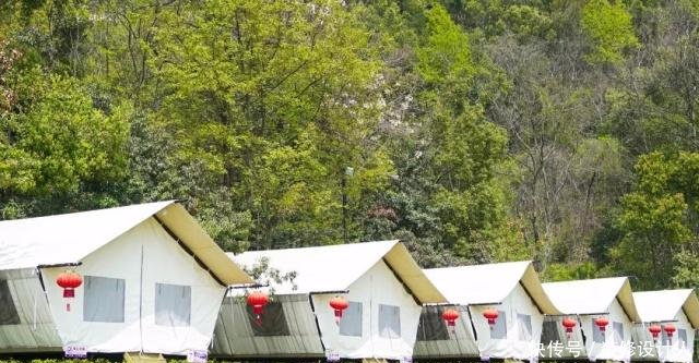 饮下一片春光 ｜ 醉美杭州四月天