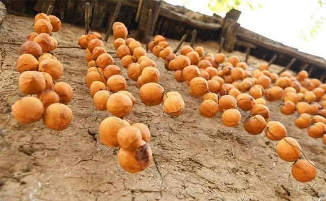 六旬老人用传统工艺做柿饼，一天削600个柿子，做的柿饼很抢手