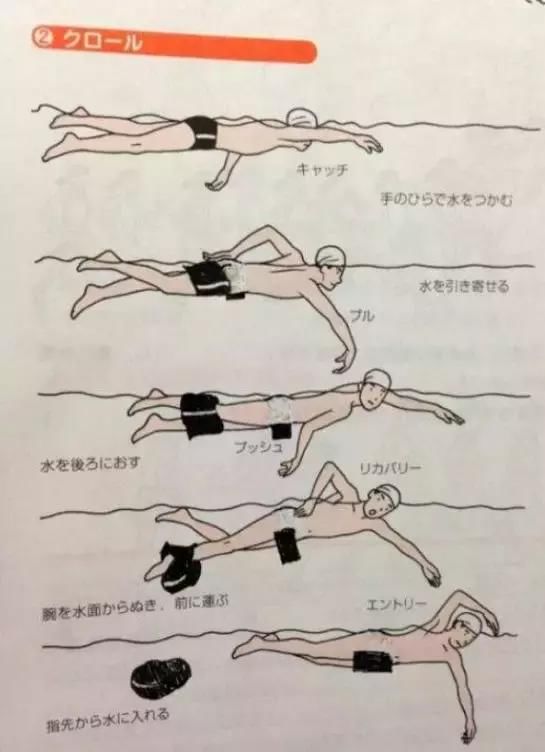 那些年被我们玩坏的课本插图
