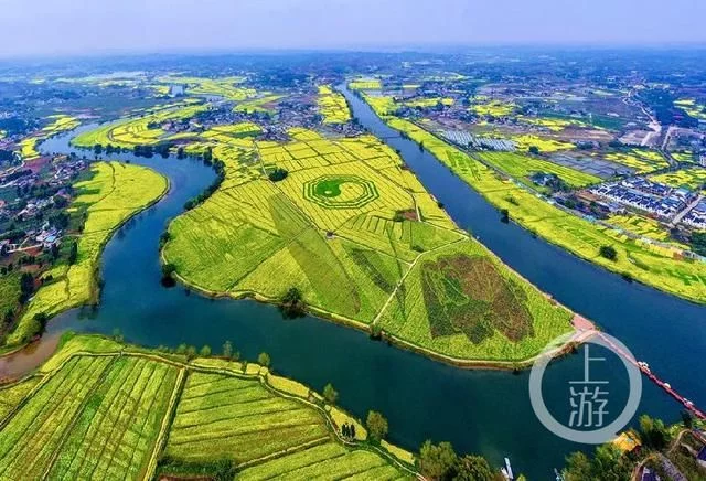 潼南万亩油菜花美翻了 快来云赏花【2020热门旅游景点】